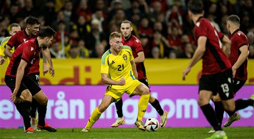 Feyenoord Bet Guide: Tips and Strategies